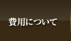 ��p�ɂ���